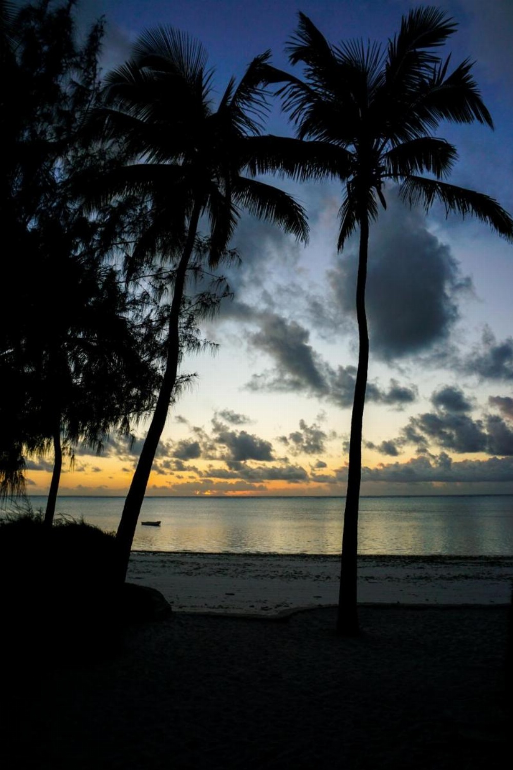 Indigo Beach Zanzibar Image 15