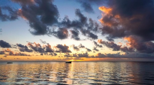 Indigo Beach Zanzibar image 16