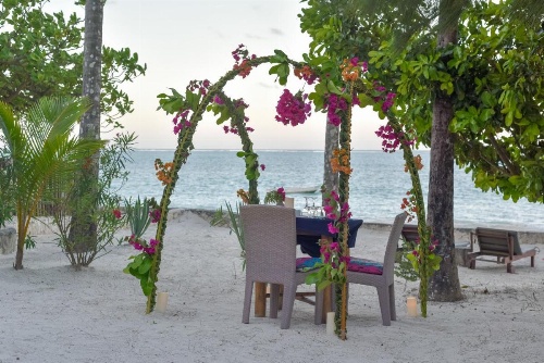 Indigo Beach Zanzibar image 20