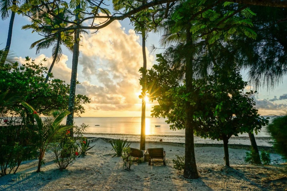 Indigo Beach Zanzibar Image 21