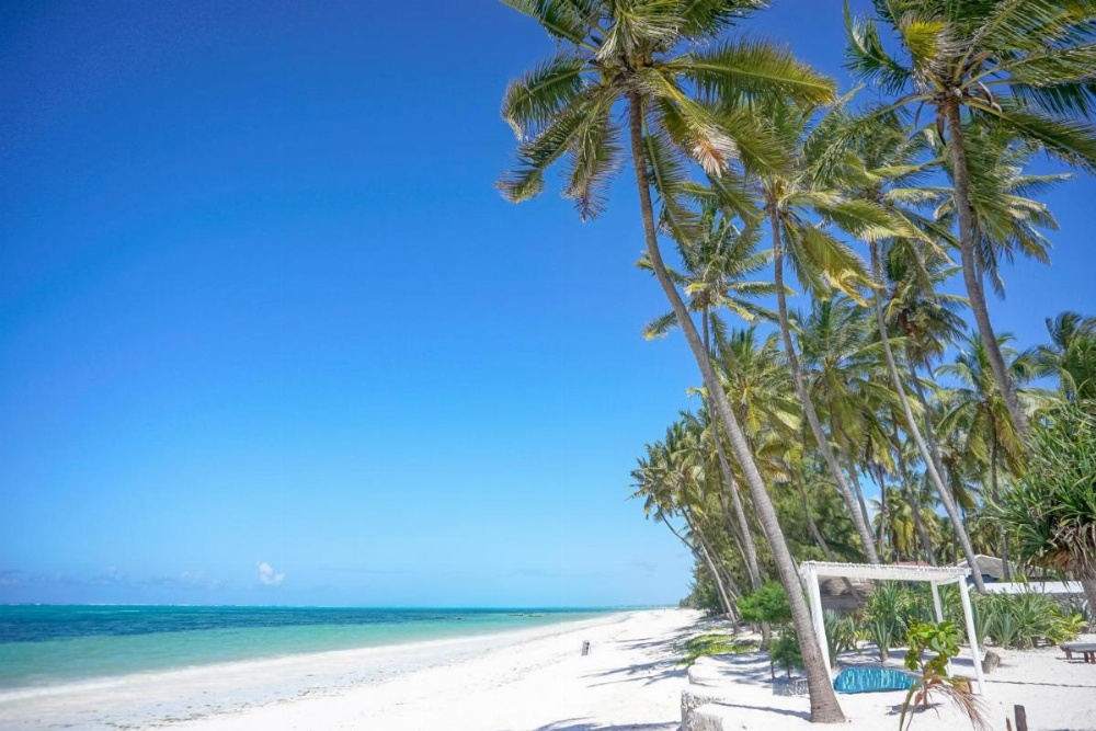 Indigo Beach Zanzibar Image 22