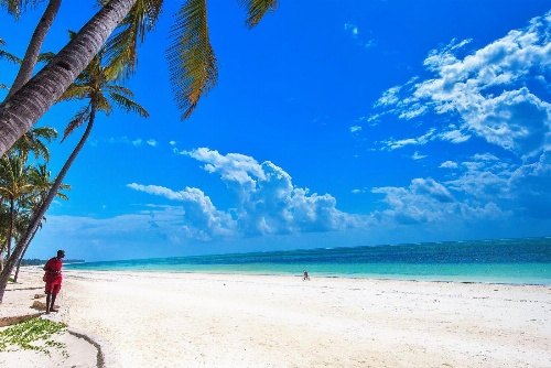 Indigo Beach Zanzibar image 4